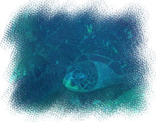 �A�I�E�~�K��