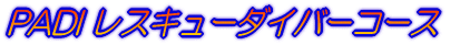 PADI ���X�L���[�_�C�o�[�R�[�X 