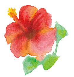 赤い花の咲くまち